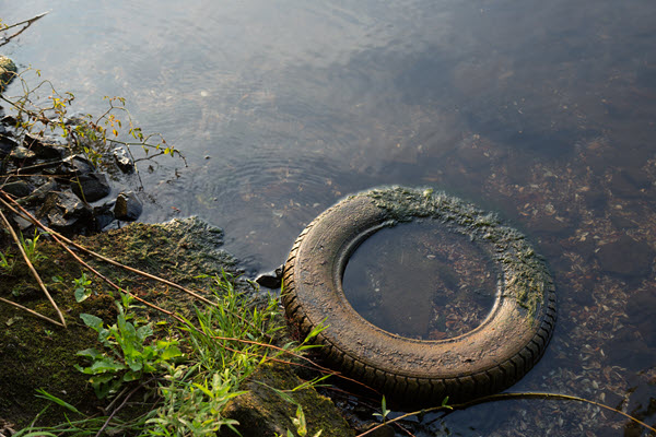 tyre-in-water-mosquitos